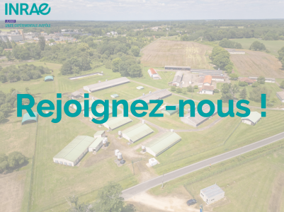 Rejoignez-nous !