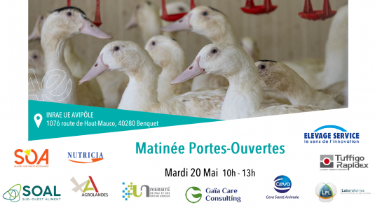 Bilan Matinée Portes-Ouvertes