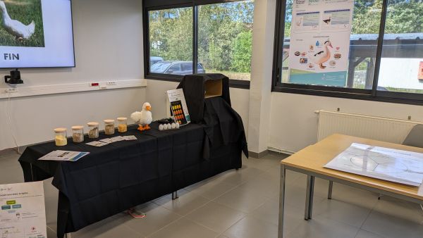 Stand Avipôle